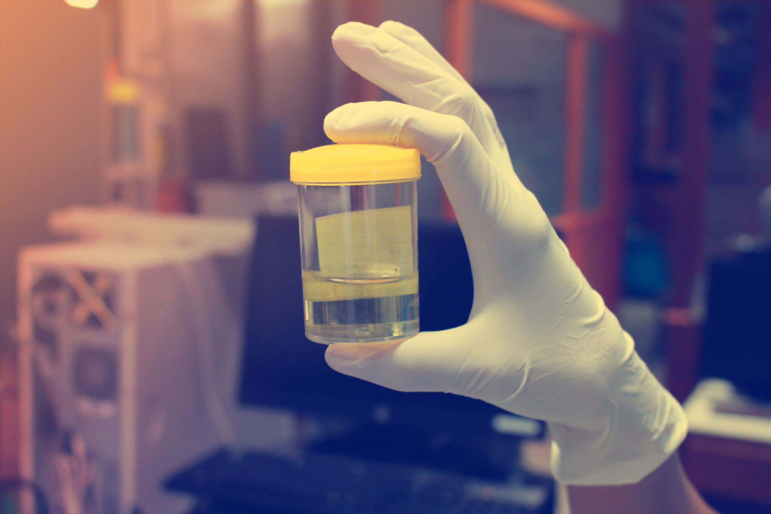 How Synthetic Urine Kits Can Help You Pass a Workplace Drug Test